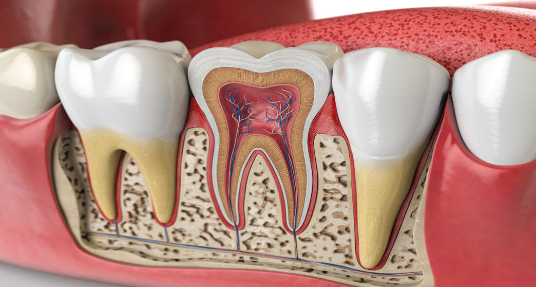 root canal therapy in kelowna